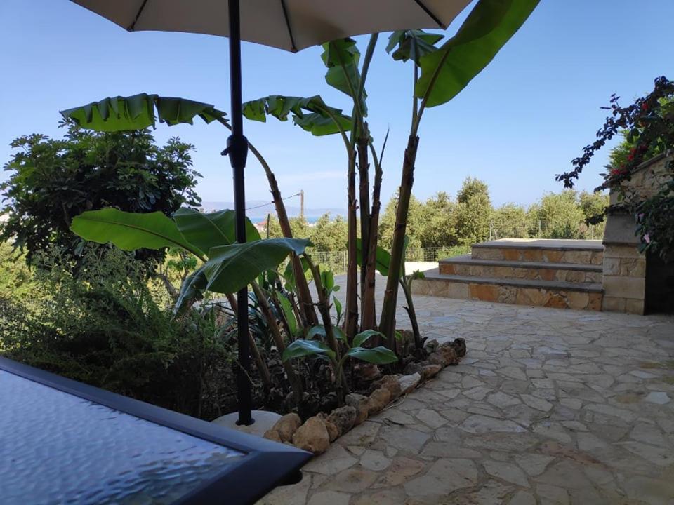 Xenia'S Countryside Guesthouse Agia Marina Zewnętrze zdjęcie
