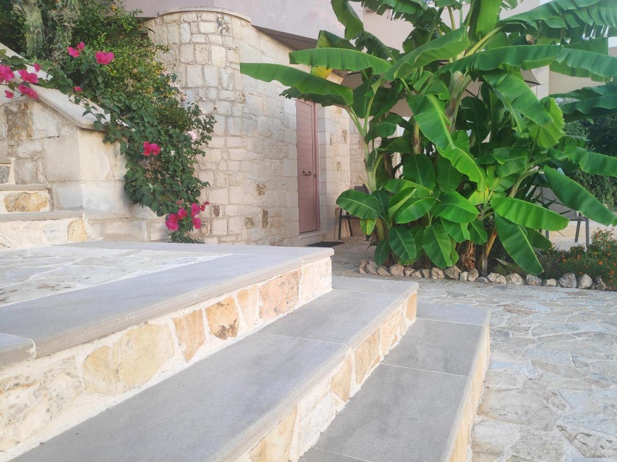 Xenia'S Countryside Guesthouse Agia Marina Zewnętrze zdjęcie